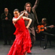 Flamenco Program Honors the Vets