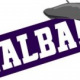 The Future of ALBA