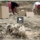 Press TV covers Spanish exhumations
