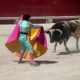 Bullfighting to Be Televised Once Again in Spain