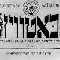 Jewish Volunteers in the International Brigades: What Drove Them?