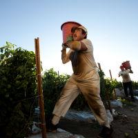 How to Bring Corporations to Their Knees: 2018 ALBA/Puffin Award Honors Florida Farm Workers