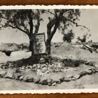 What’s New at the Tamiment