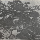 MY MEDICAL EXPERIENCES IN THE SPANISH WAR By Dr. Gojko Nikolis
